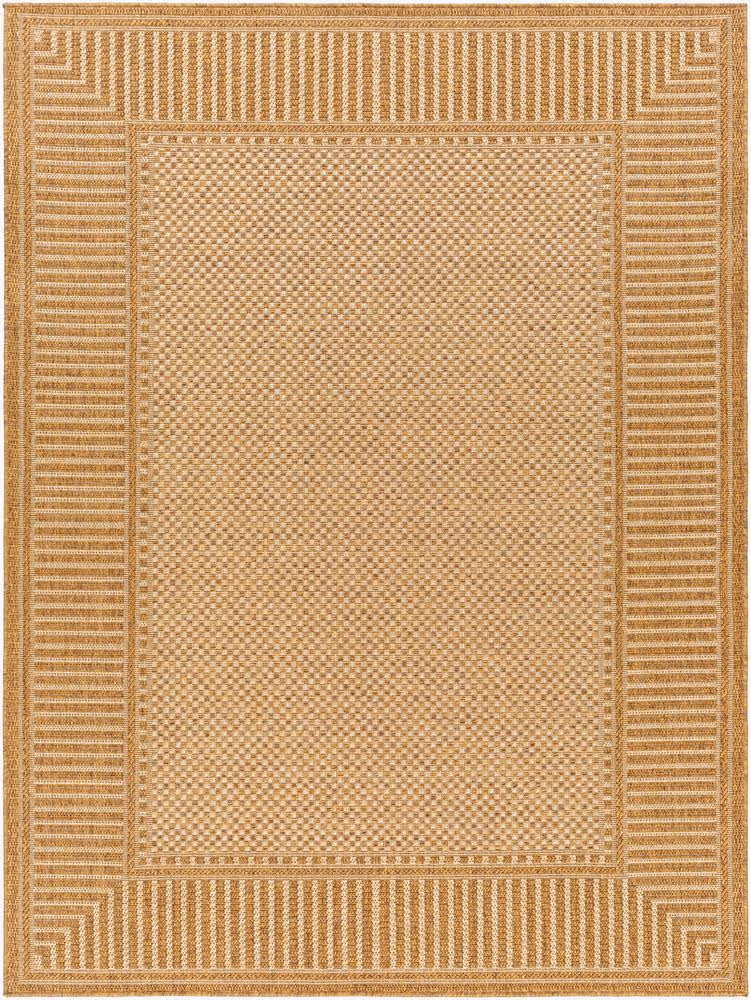 Surya Pismo Beach PMB-2303 tan Rug Product Image