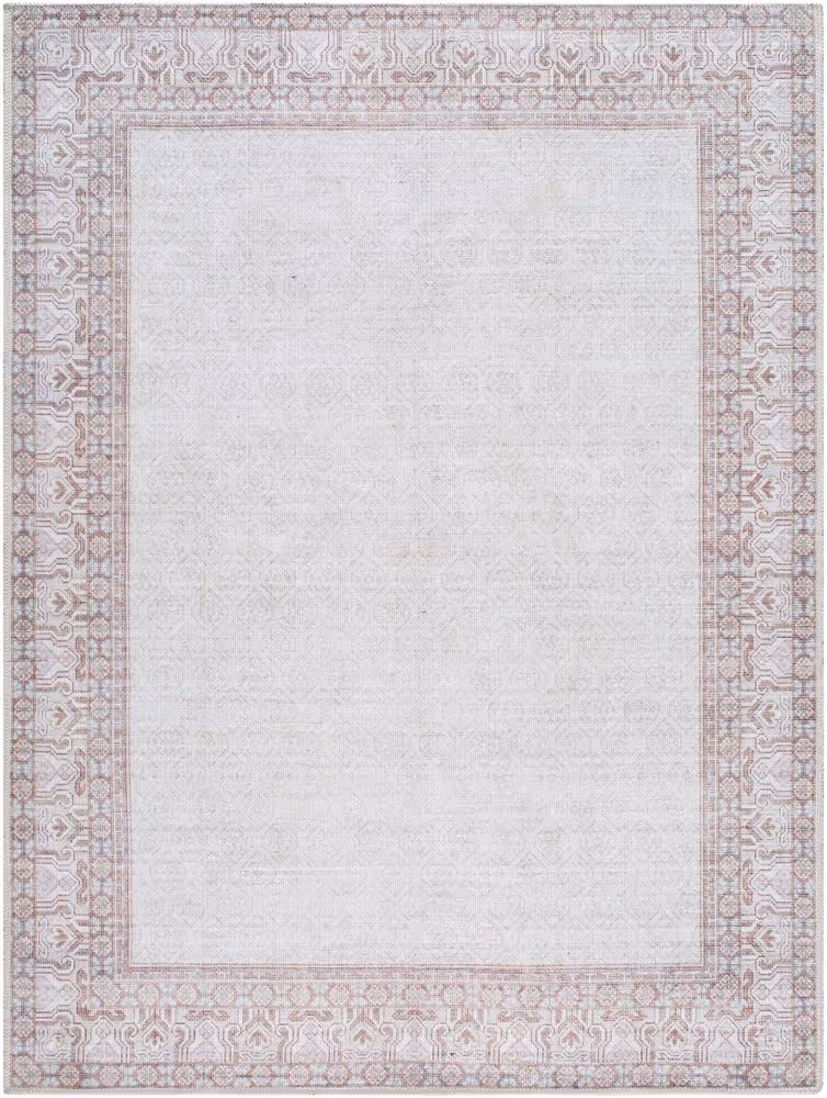 Surya Rainier PNWRN-2307 beige Rug