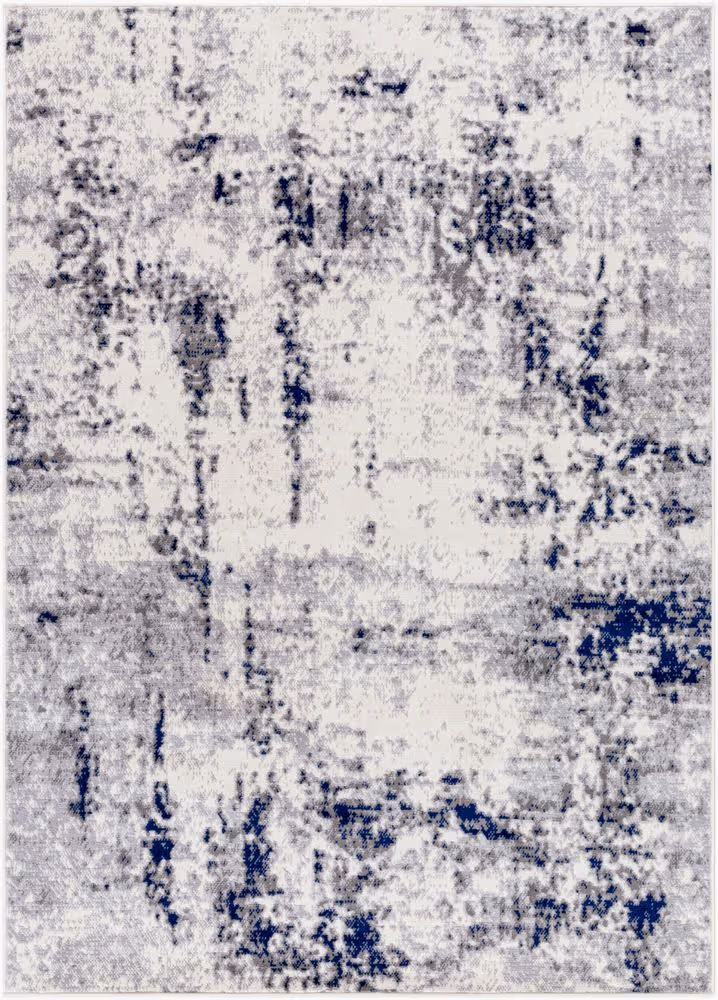 Surya Pisa PSS-2372 gray Rug Product Image