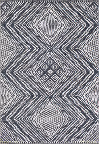 Surya Ariana RIA-2301 Gray Southwestern Synthetic Rug Product Image