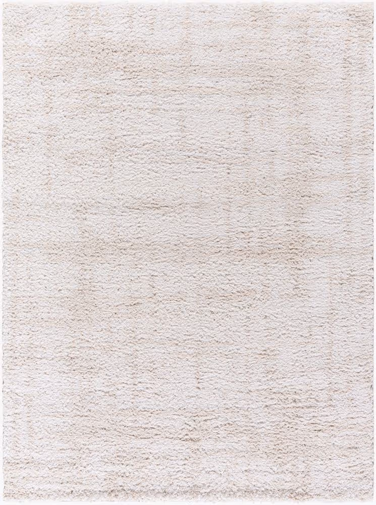 Surya Sacramento Shag SCS-2300 white Rug Product Image