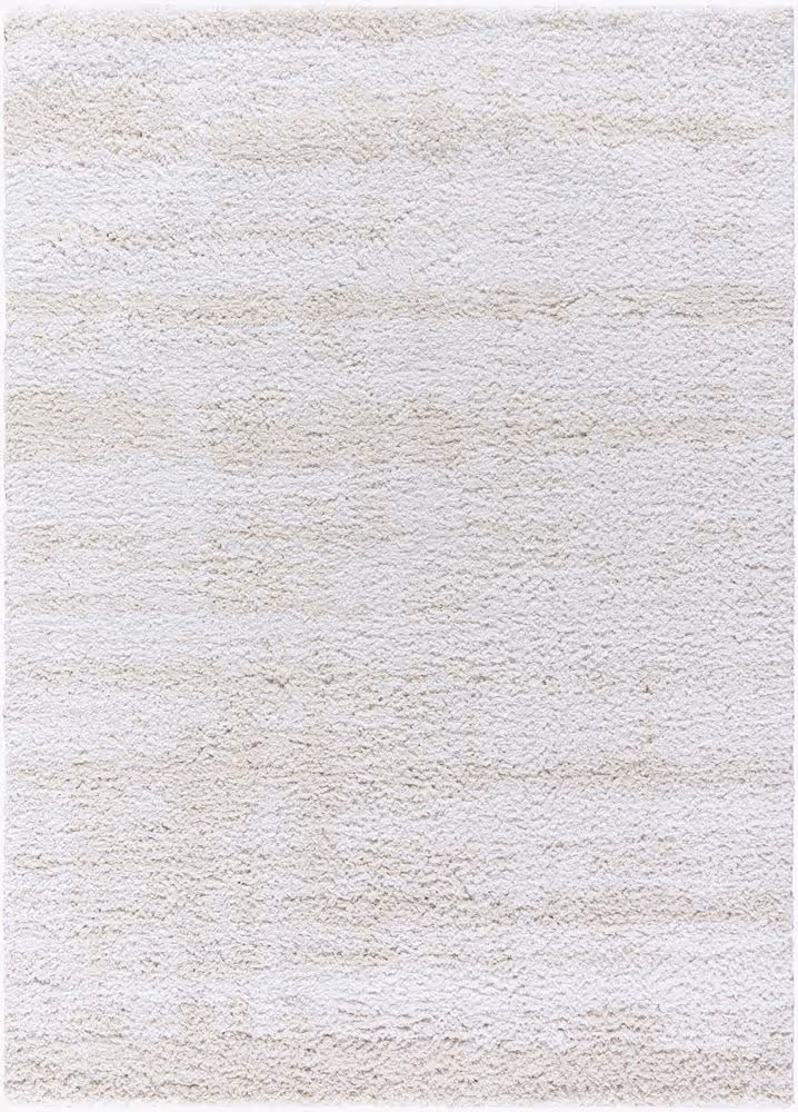 Surya Sacramento Shag SCS-2301 white Rug Product Image