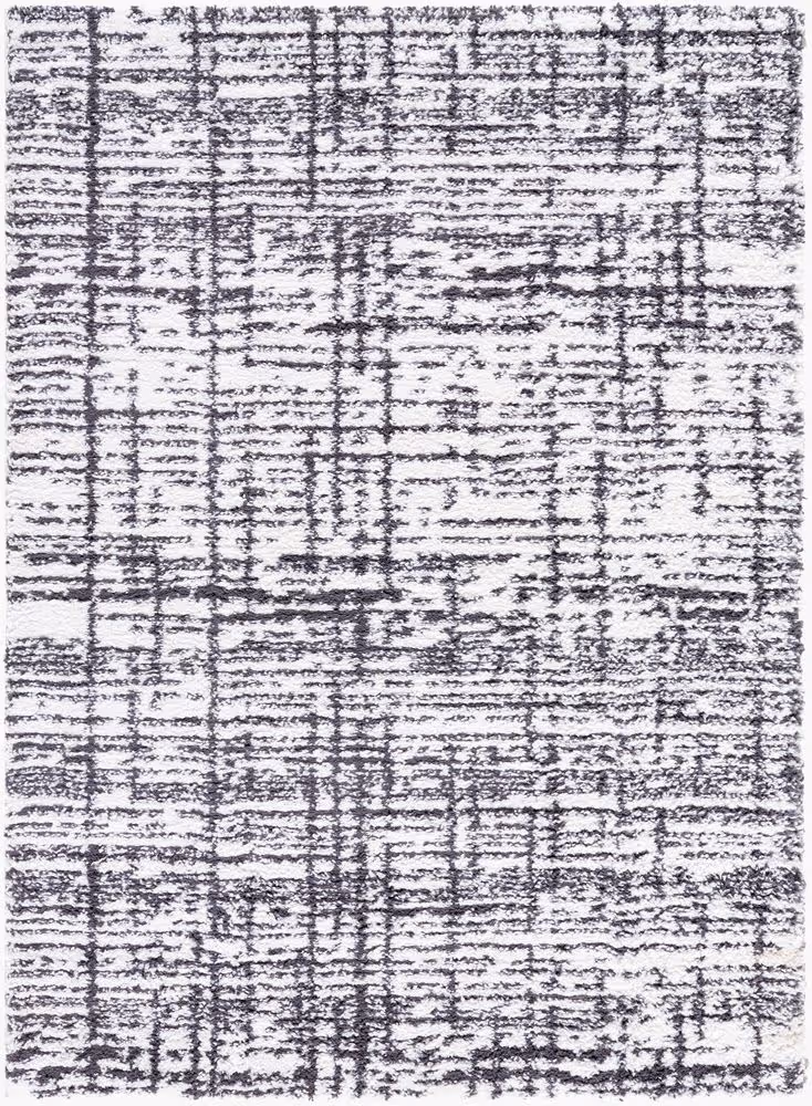 Surya Sacramento Shag SCS-2304 white Rug Product Image