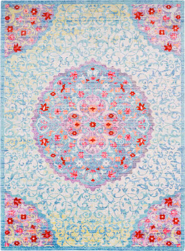 Surya Seasoned Treasures SDT-2300 Aqua Synthetic Traditional Rug Product Image