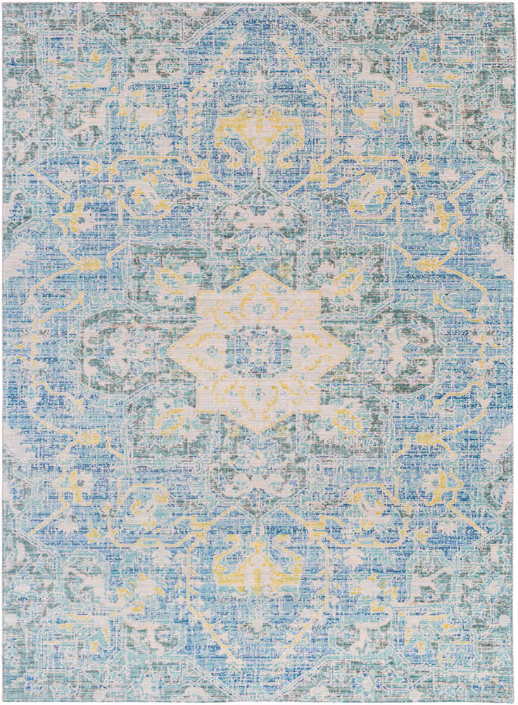 Surya Seasoned Treasures SDT-2306 Aqua Synthetic Transitional Rug
