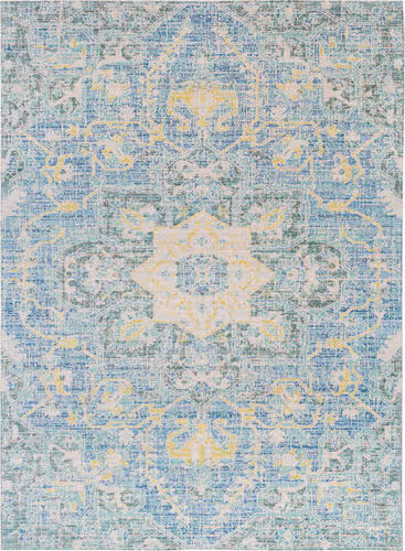 Surya Seasoned Treasures SDT-2306 Aqua Synthetic Transitional Rug Product Image