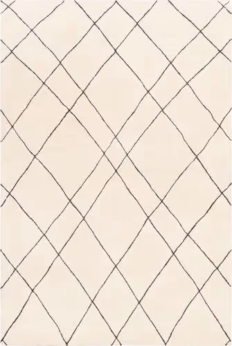 Surya Sinop SNP-2304 Black Wool Patterned Rug Product Image