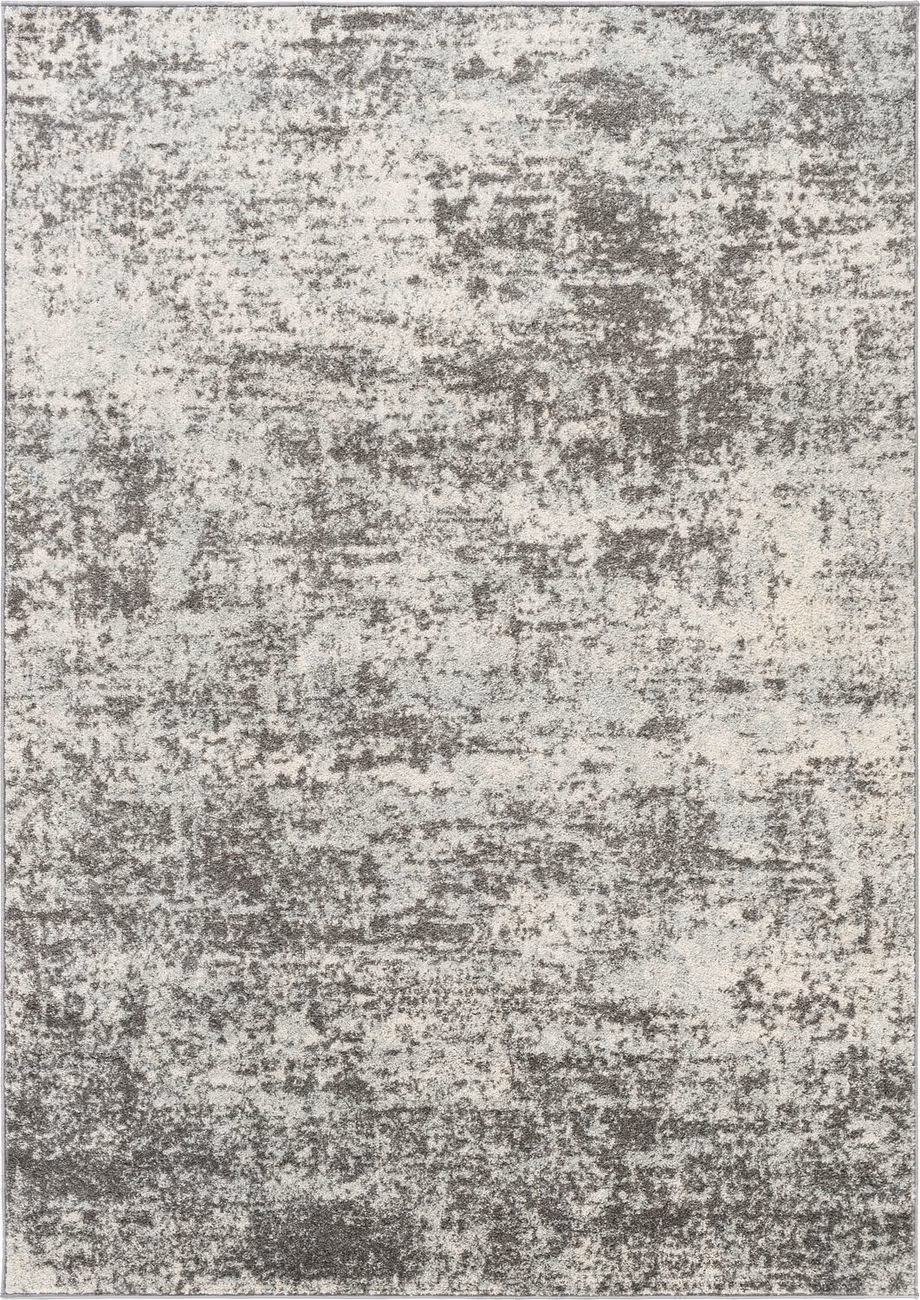 Modern Loom Altan ALTN-2322 Gray Hand Woven Synthetic Rug