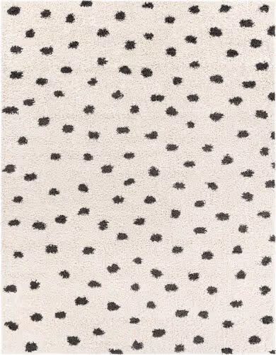 Modern Loom Altani ALTI-2314 Gray Hand Woven Synthetic Rug Product Image