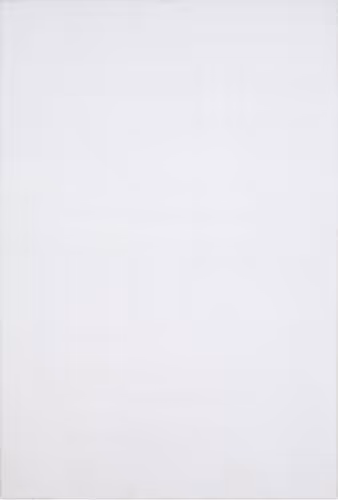 Surya Wilkinson WLK-1000 White Solid Colored Synthetic Rug Product Image