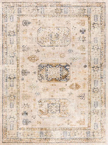 Surya Stonewashed SNW-2305 Beige Rug Product Image