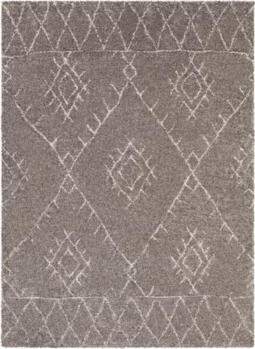 Surya Wilder WDR-2002 Taupe Rug Product Image