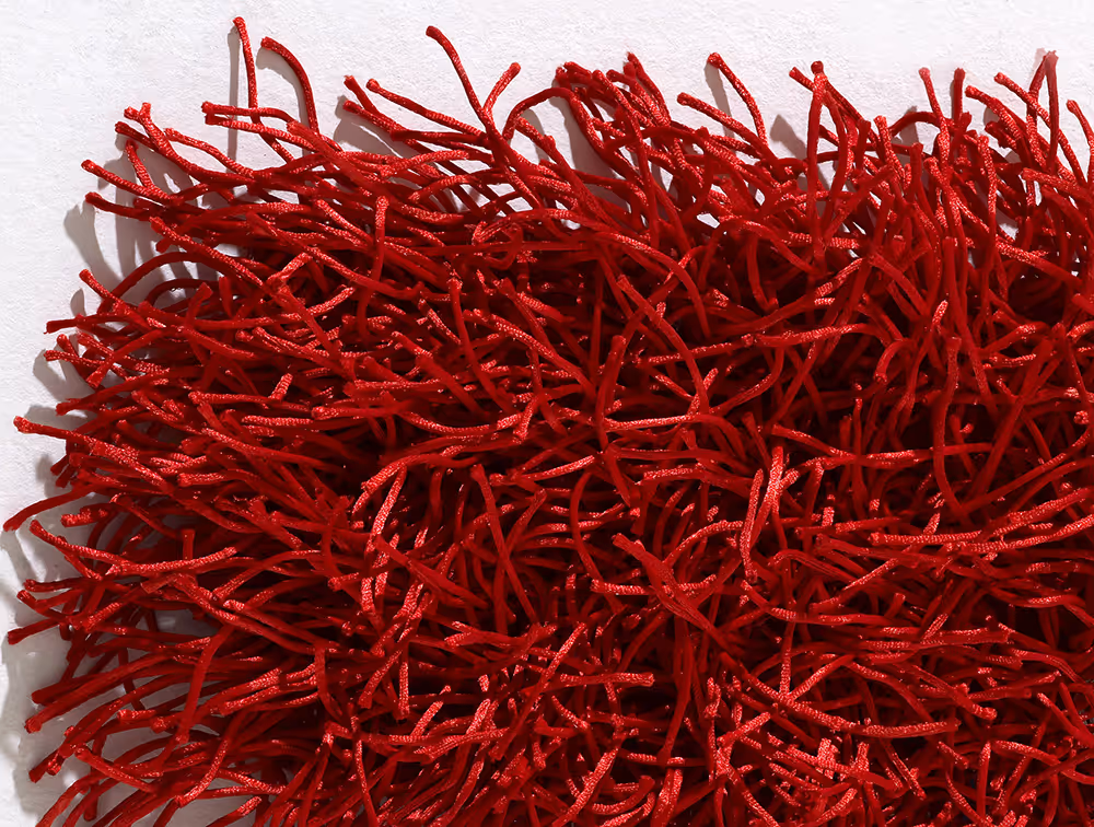Mackinaw Red Shag Rug