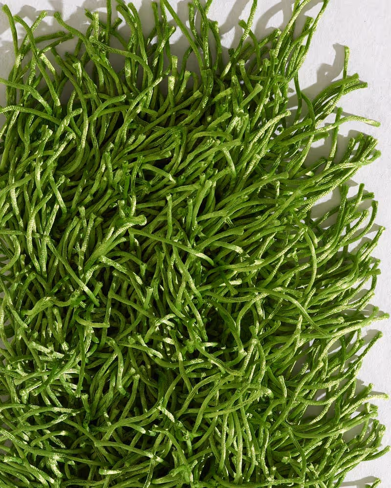 Mackinaw Green Shag Rug