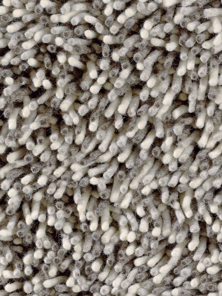 Masland Brown Rug