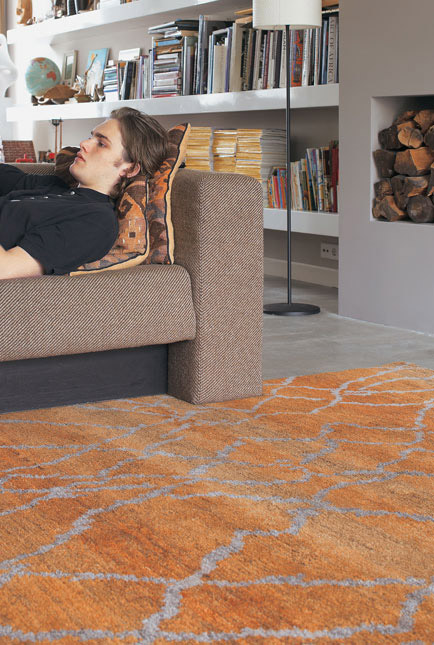 Modern and Contemporary Orange Area Rugs for every space and style.