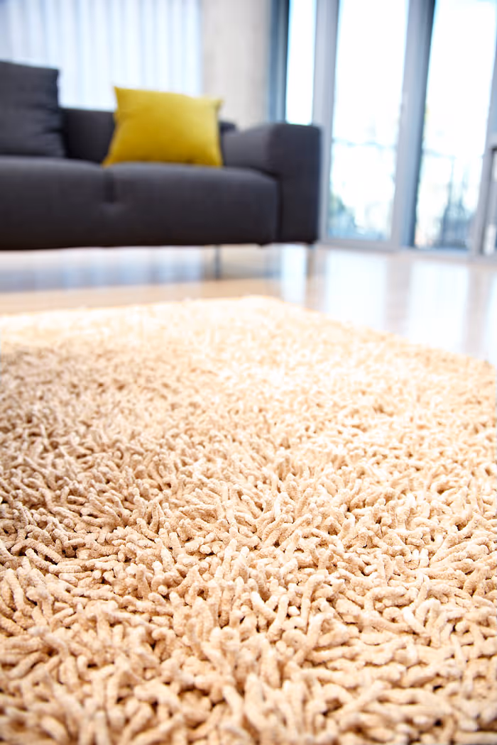 Anji Mountain Beige Rug 2