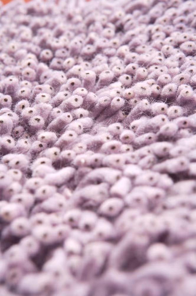 Coral Shag Amethyst Dust Rug