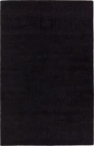 Chandra Alcon ALC-35503 Black Solid Color Rug Product Image