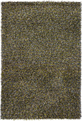 Chandra Bense AST-14300 Green Abstract Rug Product Image