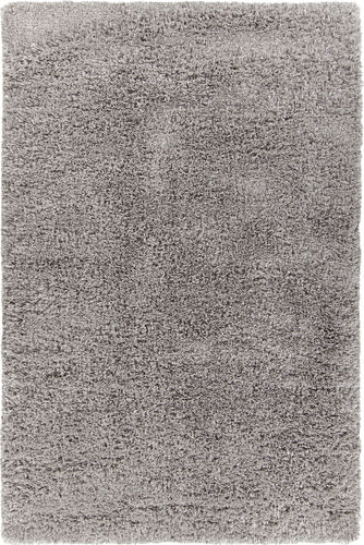 Chandra Bense BOL-51303 Lt. Gray Solid Color Rug Product Image