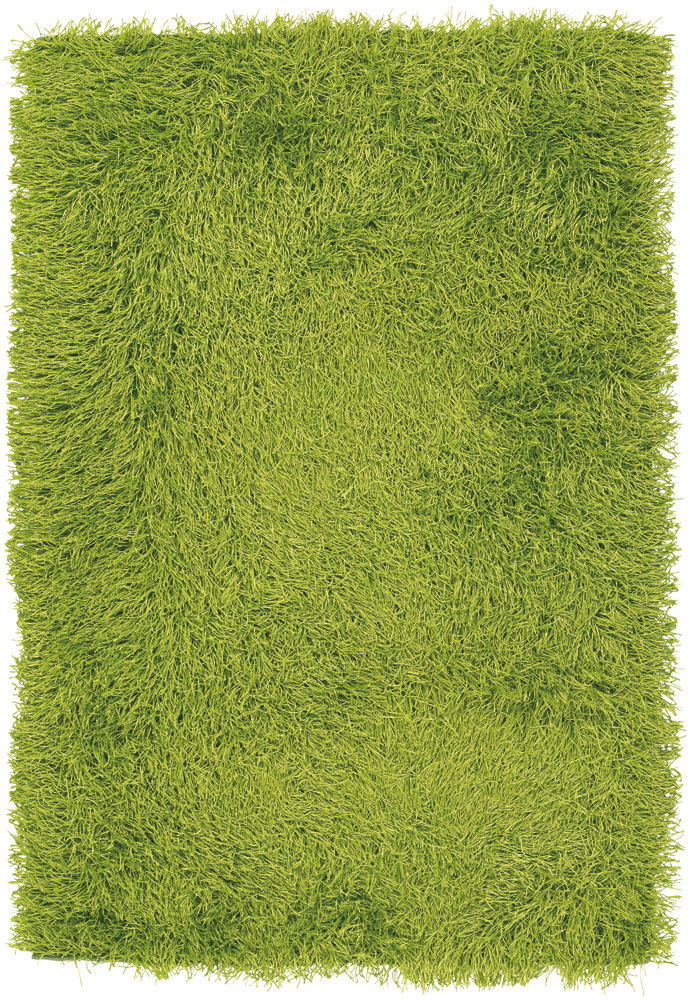 Chandra Duke DUK-20900 Lt. Green Shag Solid Color Rug