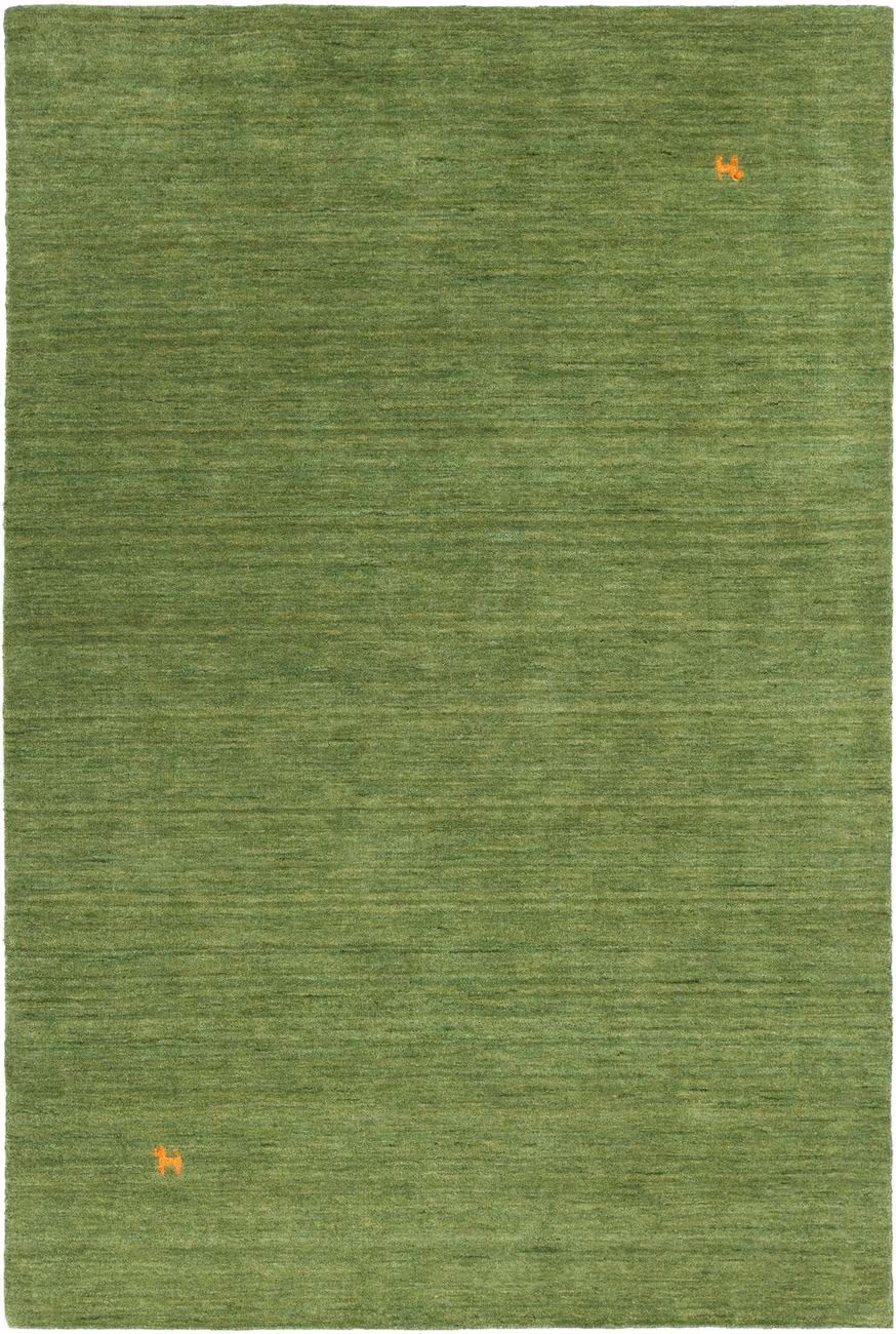 Chandra Gabi GAB-38001 Green Solid Color Rug