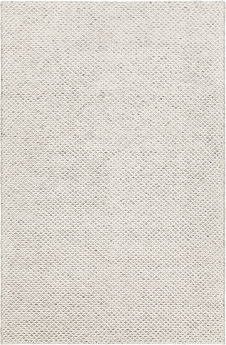 Chandra Ira IRA-44501 Ivory Solid Color Rug Product Image