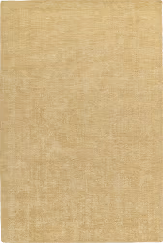 Modern Loom Lauderdale Light Camel Outdoor Solid Modern Rug Product Image