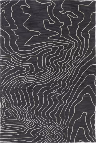 Modern Loom Pastiche Hand Tufted Charcoal Modern Rug Product Image
