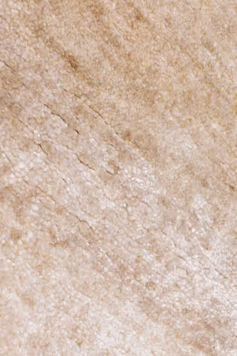 Angelo Beige Solid Color Shag Rug 2 Product Image