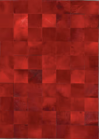 Angelo Red Leather Rug Product Image