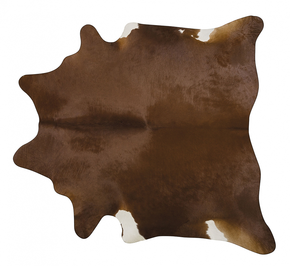 Pergamino Brown Cow Hide Rug 11 from the Cowhide Rugs collection at
