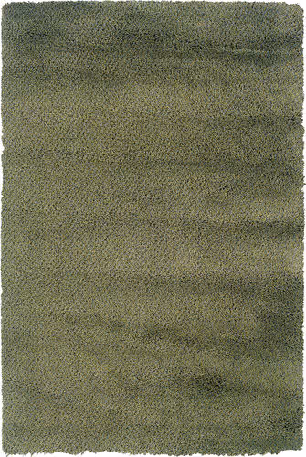 Modern Loom Loft 7310_520A4 Green Shag Rug Product Image