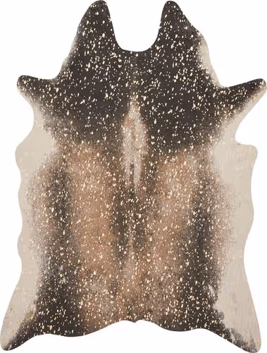 Loloi Bryce Brown Rug Product Image