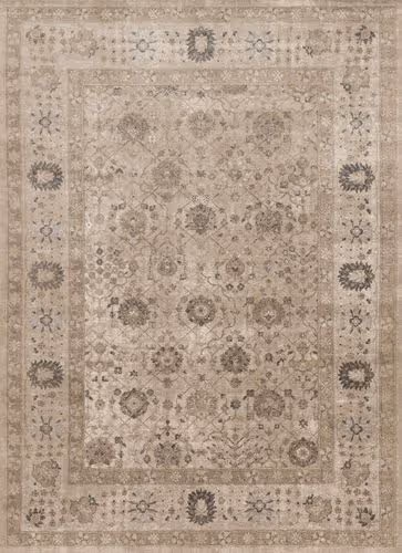 Loloi Century Beige Rug Product Image