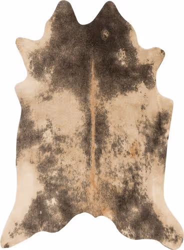 Loloi Grand Canyon Beige Rug Product Image
