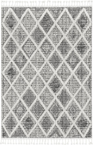 Kas Rugs Willow 1101 Gray Hand Woven Synthetic Rug Product Image
