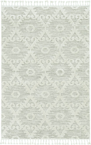 Kas Rugs Willow 1103 Beige Hand Woven Synthetic Rug Product Image