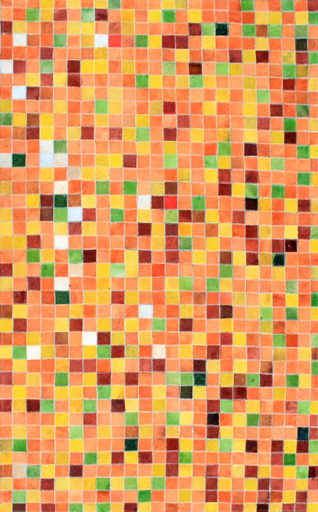 AyubRugs Multi-Colored Leather Rug 6