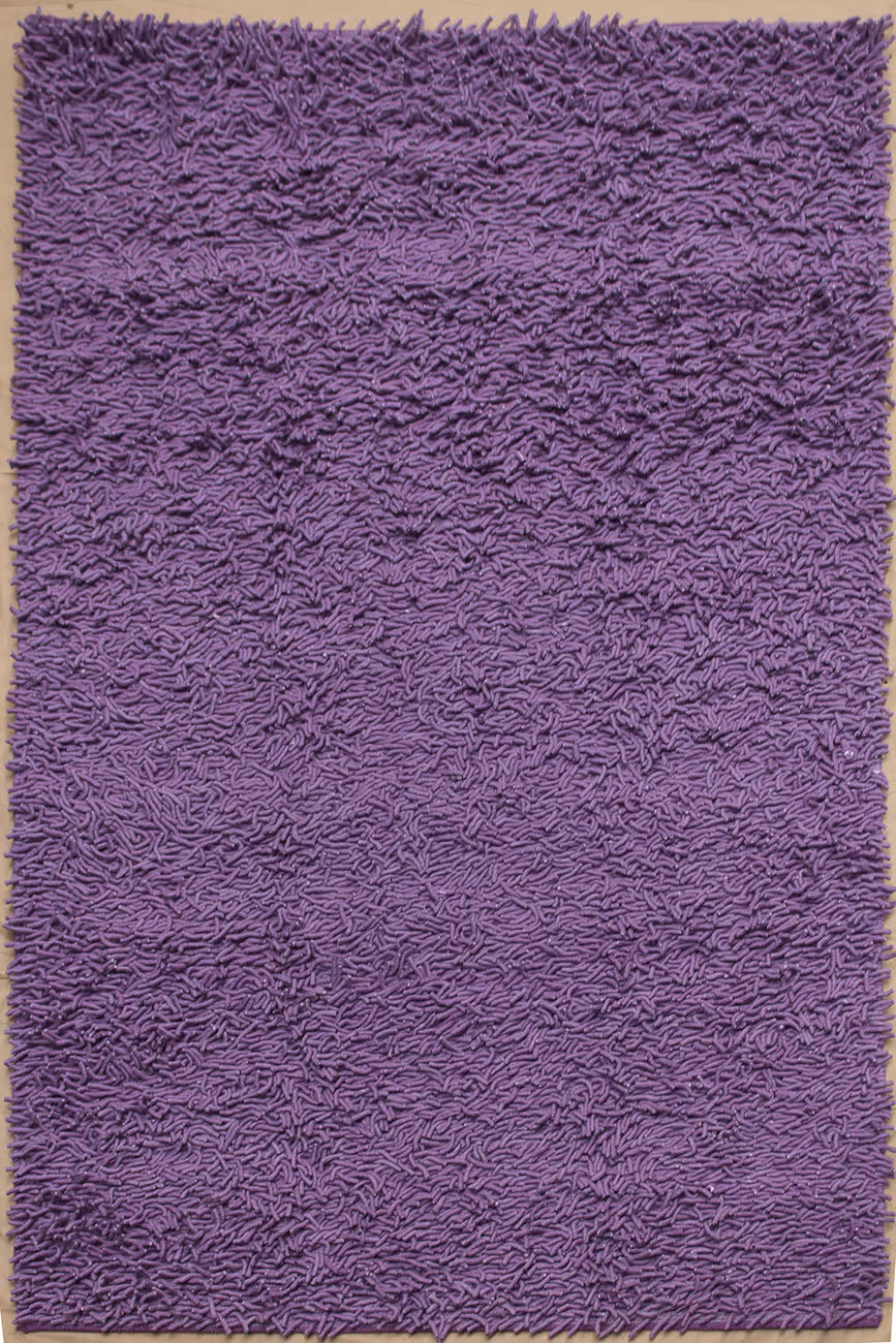 Lilac/Lavender Primo 6' x 9' Shag Rug