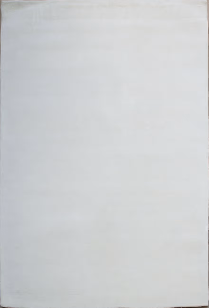 Cream Solid Tuft 5'6 x 8'6