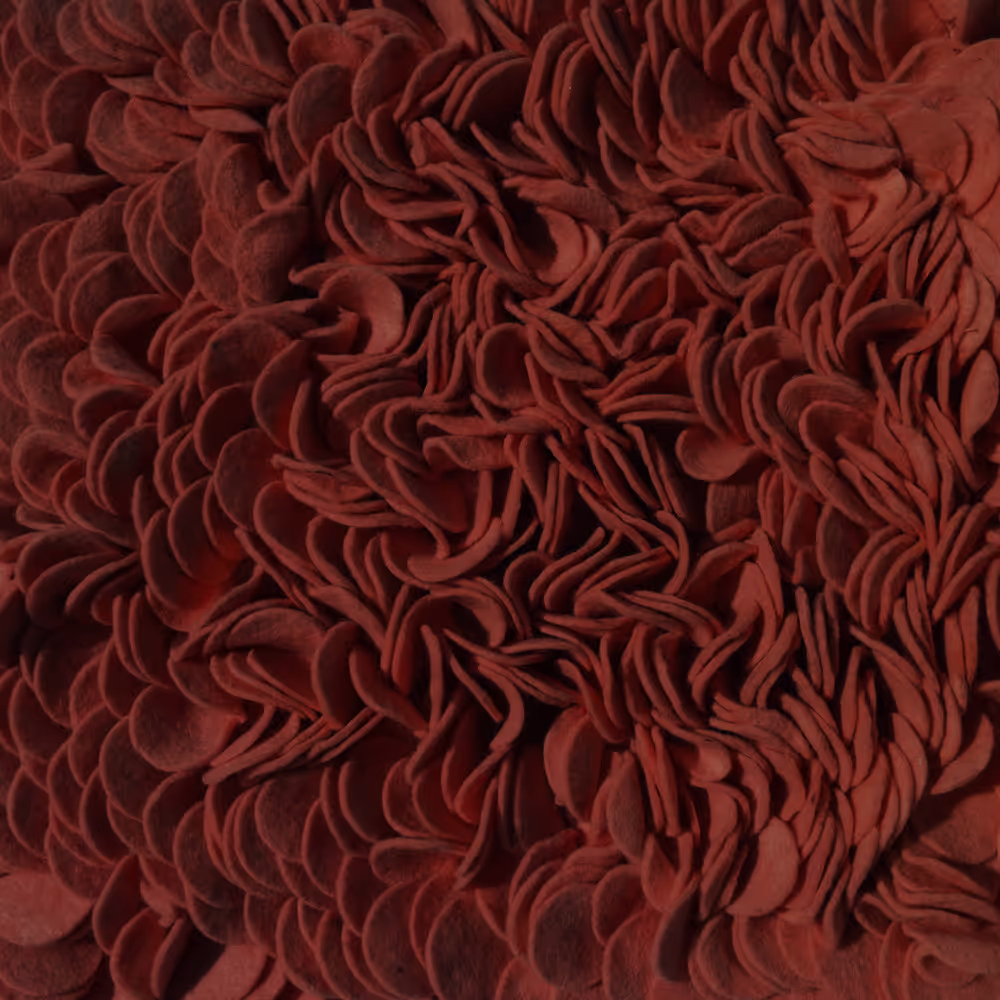 Contract Felt Enoki Rosa Shag Rug