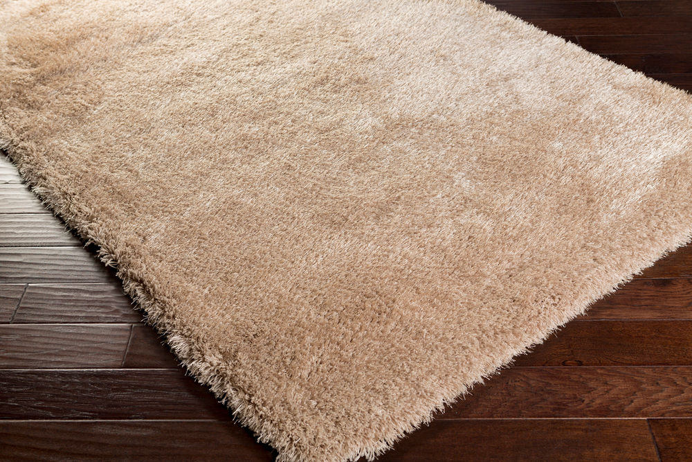 Surya Portland PLD2003 Taupe Synthetic Solid Colored Rug from the Shag