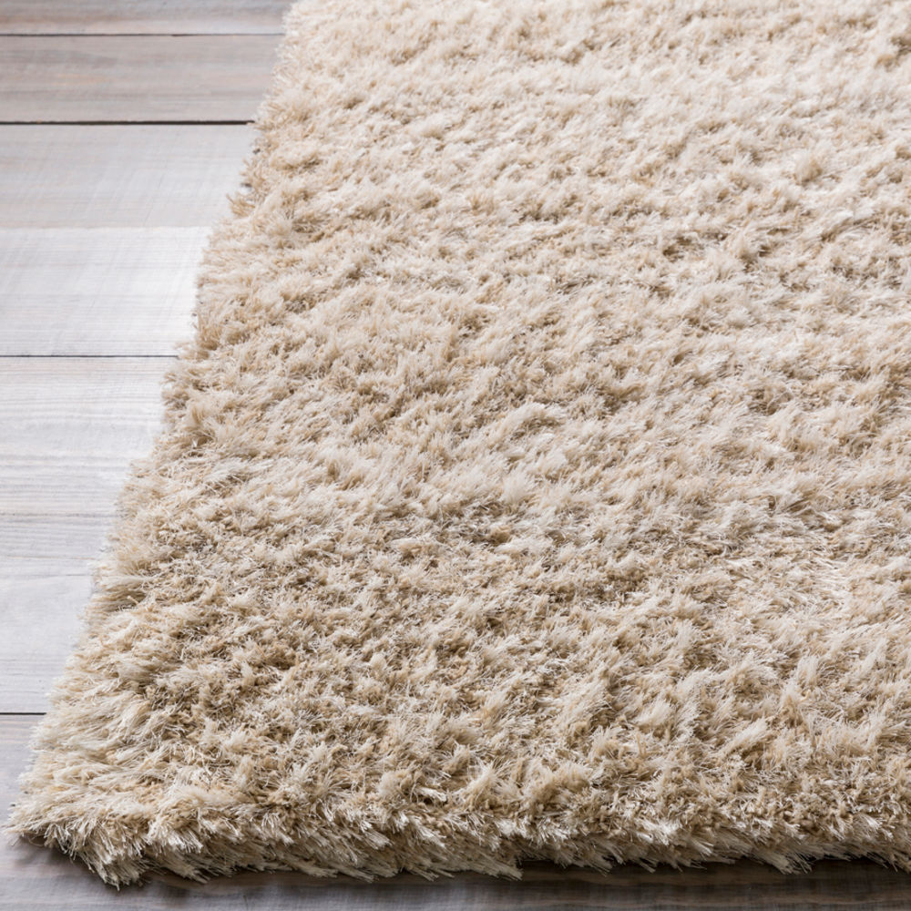 Surya Rhapsody RHA1002 Beige Shag Solid Colored Rug from the Solid Rugs collection at Modern