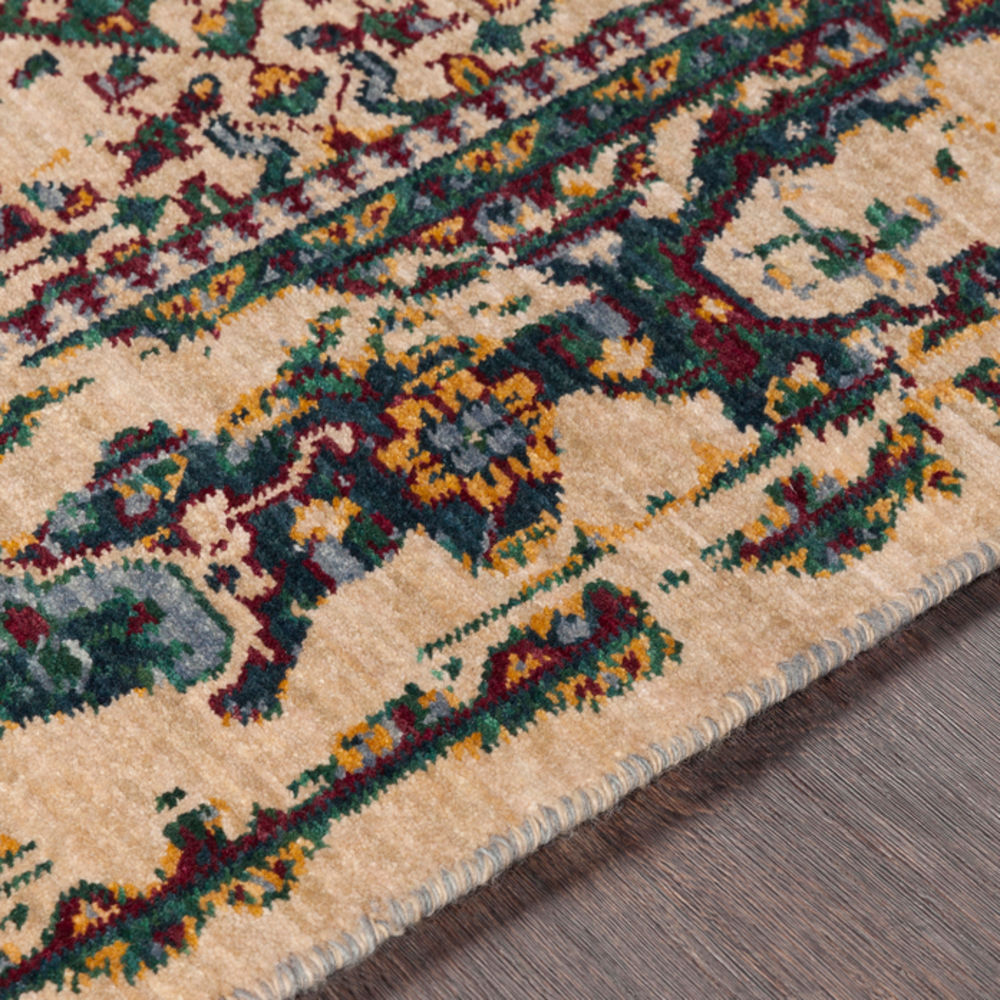 Trailblazer TZR-1013 Dark Green Transitional Bordered Rug