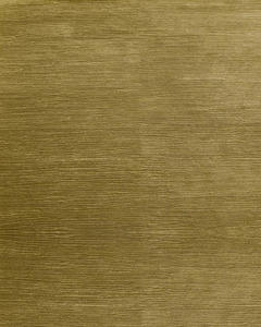 Forest area rug Forest area rug