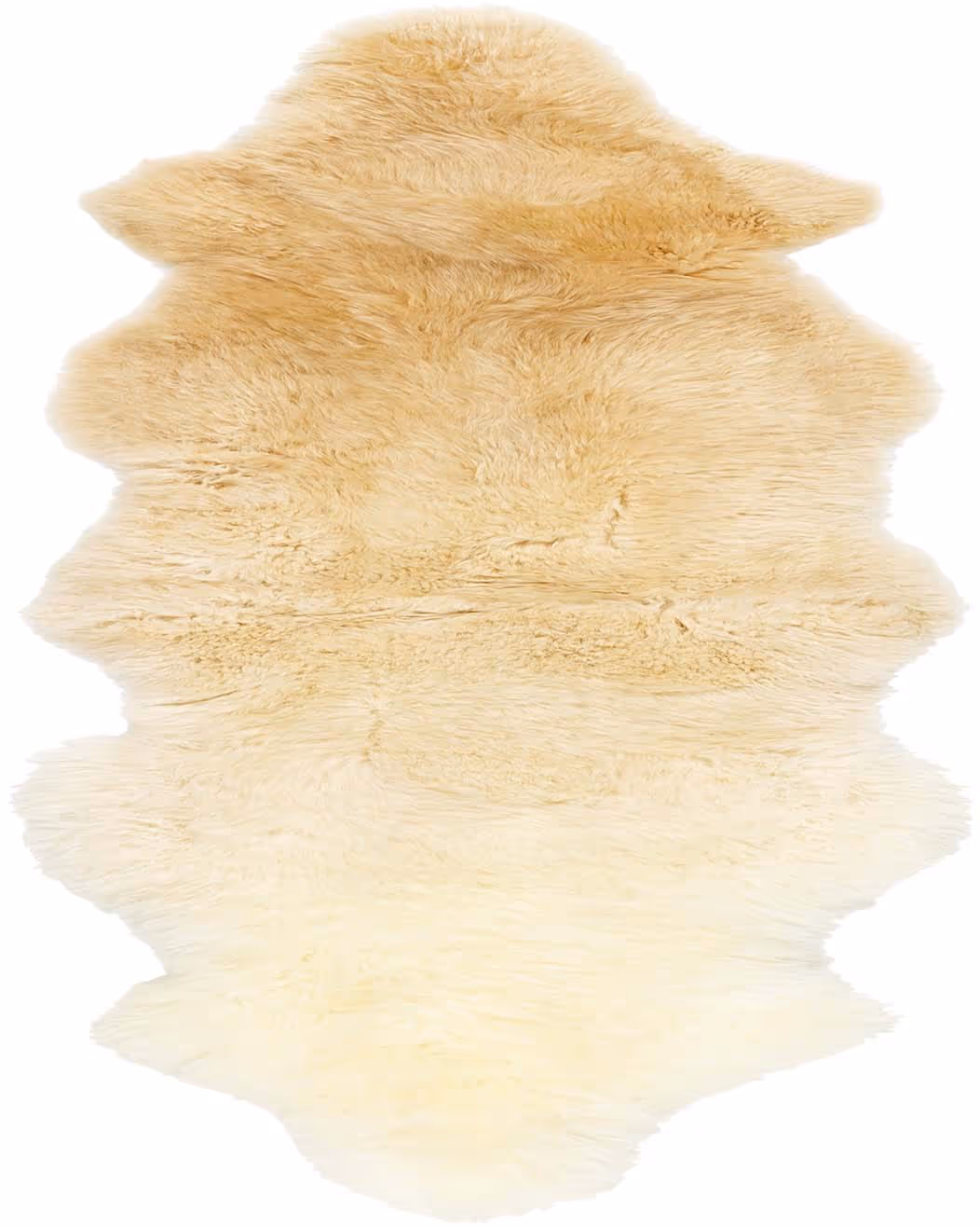 Surya Kapuni KAP-2303 Product Image