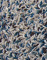 Speckled shag rug